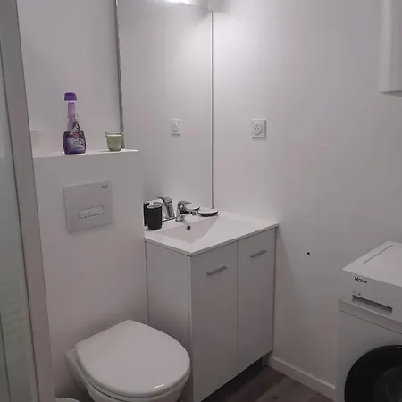 Cocon Avec Jardin Terrasse Prive Et Parking Appartement Brest