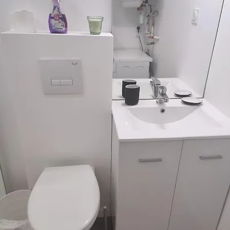 Appartement Cocon Avec Jardin Terrasse Prive Et Parking Brest