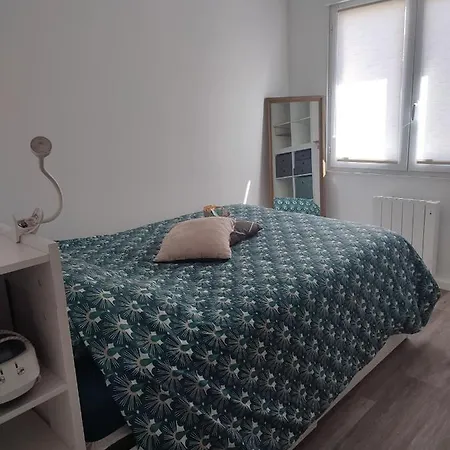 Cocon Avec Jardin Terrasse Prive Et Parking Appartement
